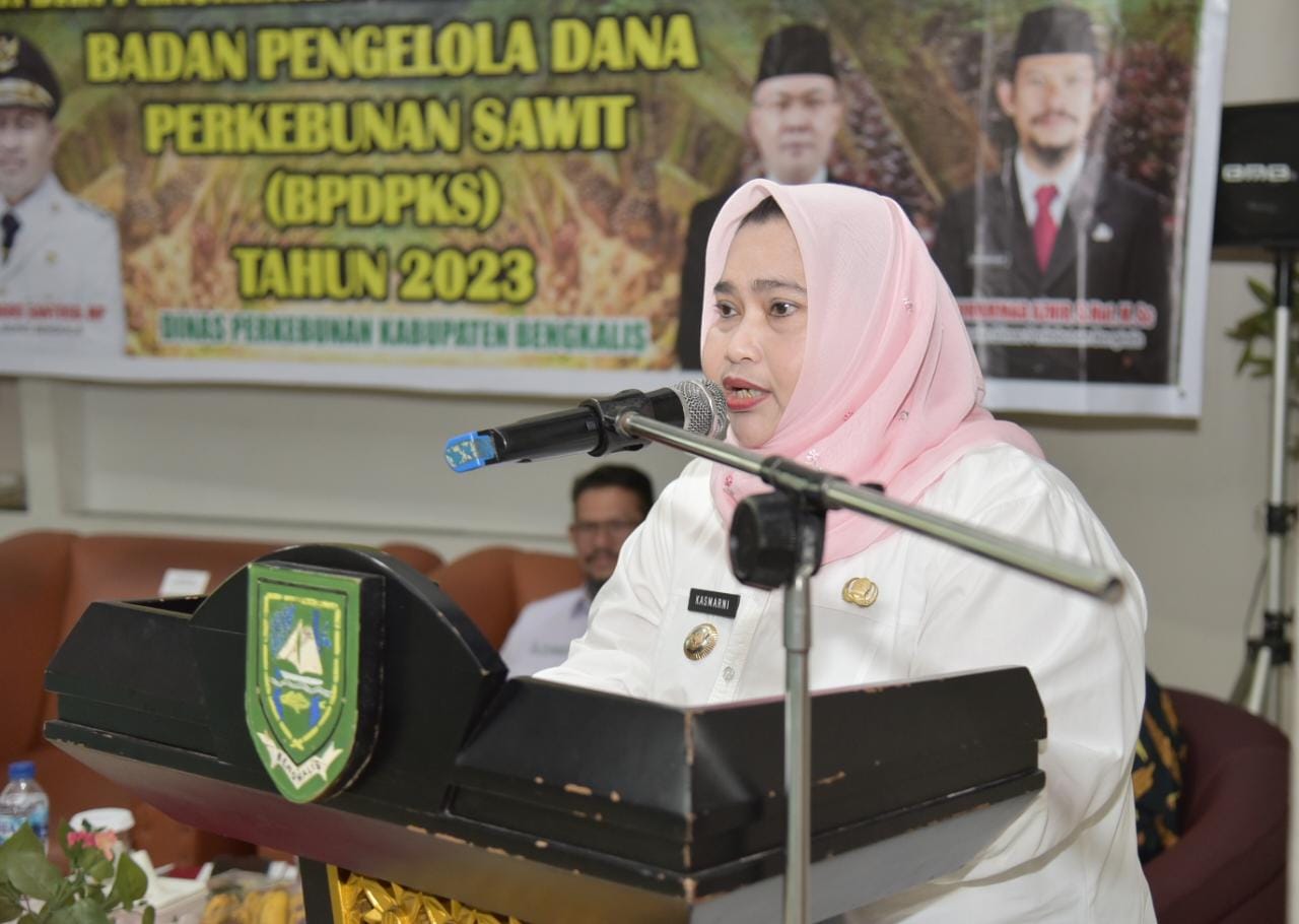 IMG-20230830-WA0008
