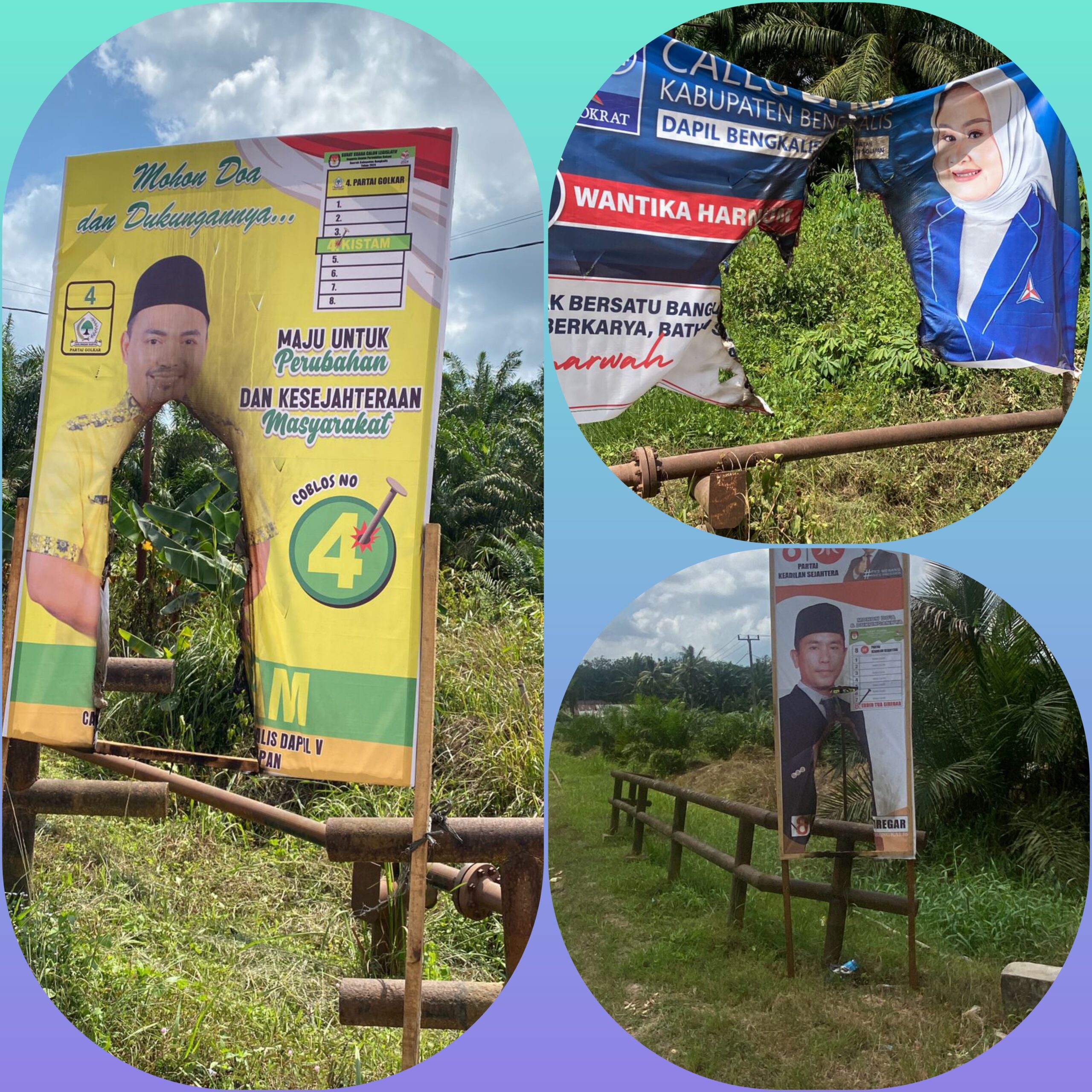 InCollage_20231206_075621486