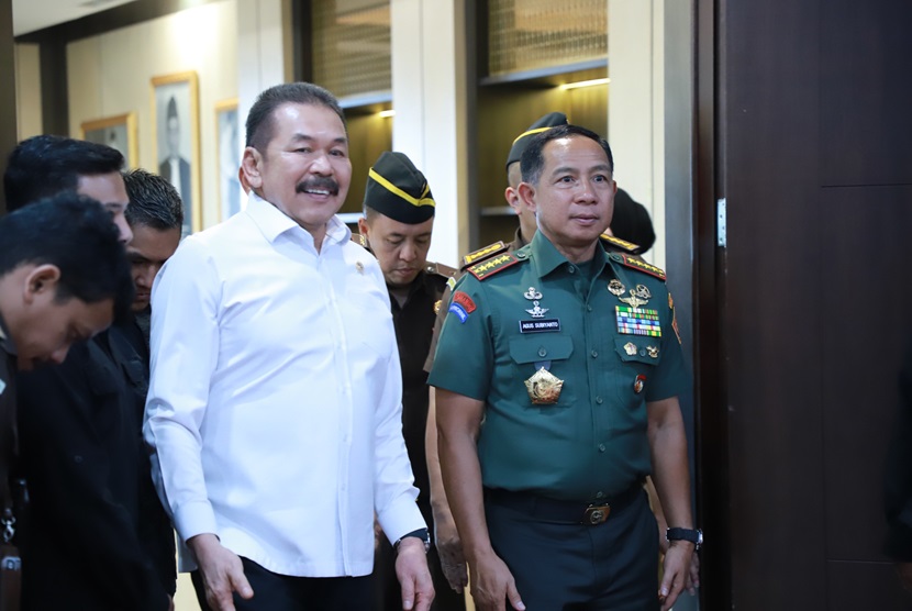 Panglima TNI