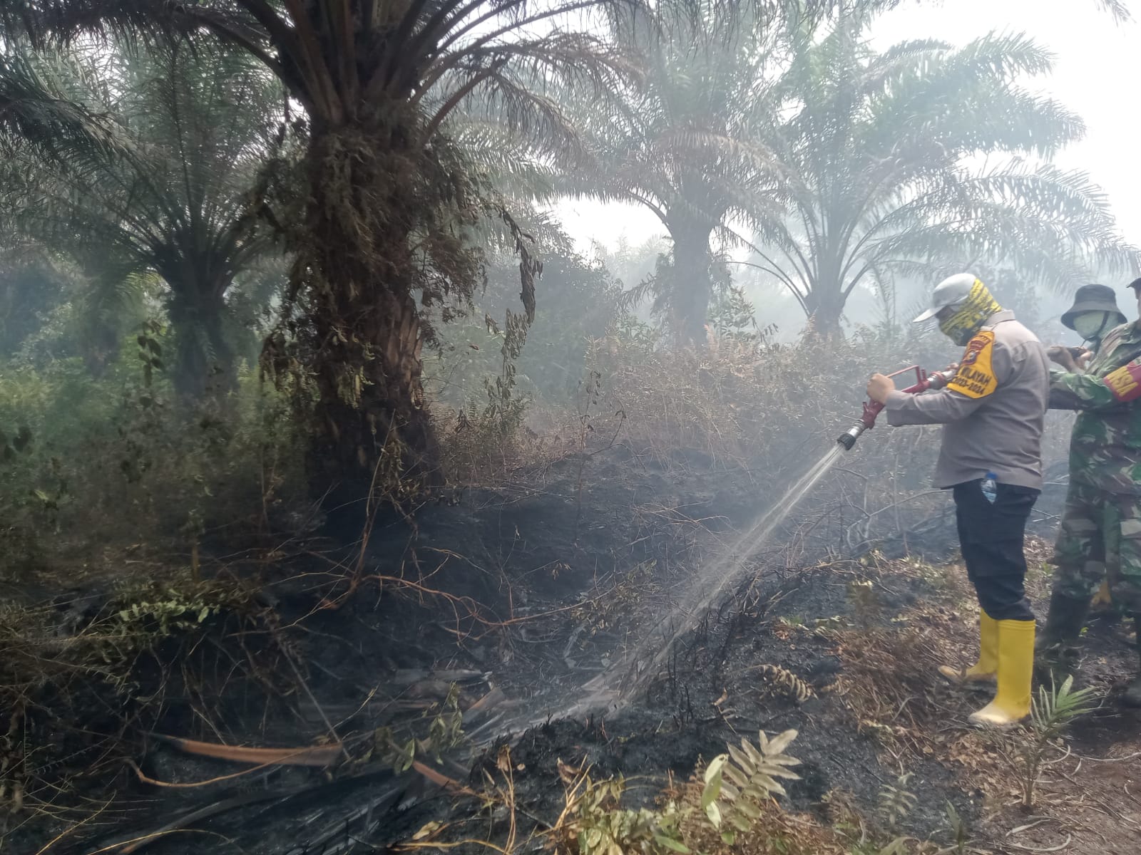Petugas sedang berusaha memadamkan api