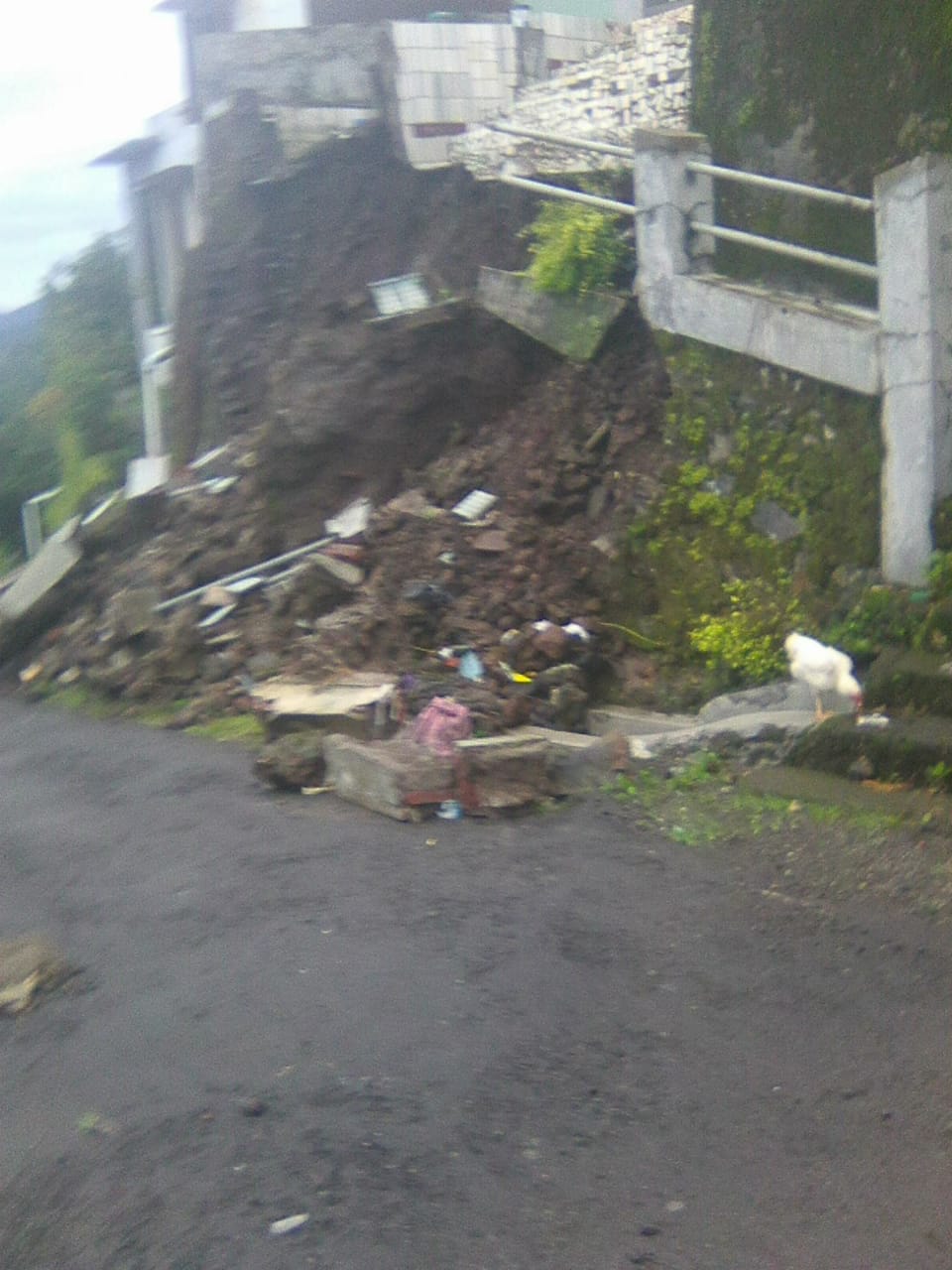 IMG-20250124-WA0032