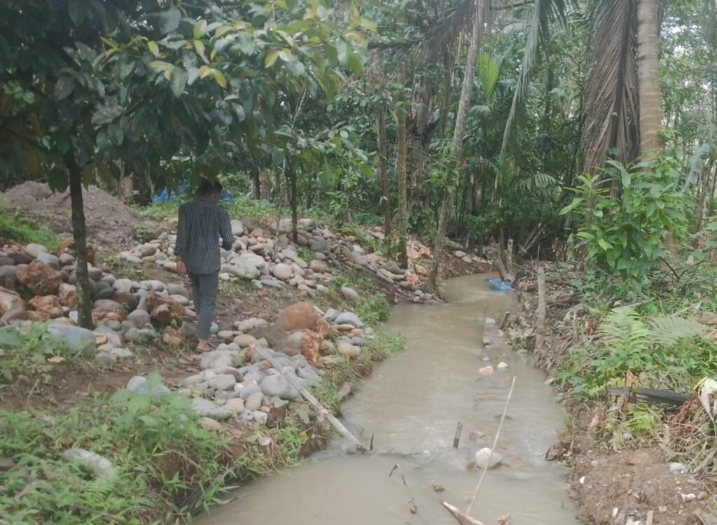 IMG-20251212-WA0111(1)