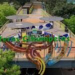 Screenshot_2026-01-13-09-18-28-27_680d03679600f7af0b4c700c6b270fe7