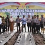 Screenshot_2026-01-26-17-26-11-10_3aea4af51f236e4932235fdada7d1643