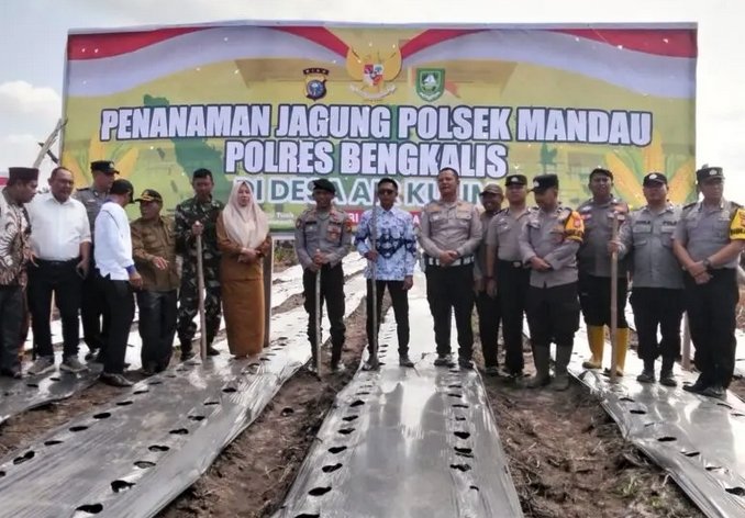 Screenshot_2026-01-26-17-26-11-10_3aea4af51f236e4932235fdada7d1643