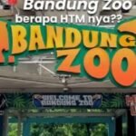 Screenshot_2026-02-20-19-42-44-16_40deb401b9ffe8e1df2f1cc5ba480b12