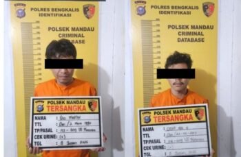 Screenshot_2026-02-25-19-16-01-39_c0d35d5c8ea536686f7fb1c9f2f8f274