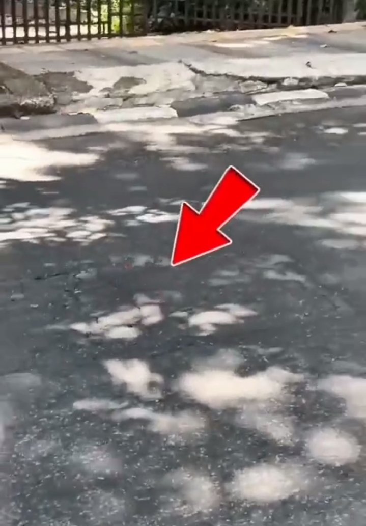 Screenshot_2026-03-28-17-30-20-08_7352322957d4404136654ef4adb64504