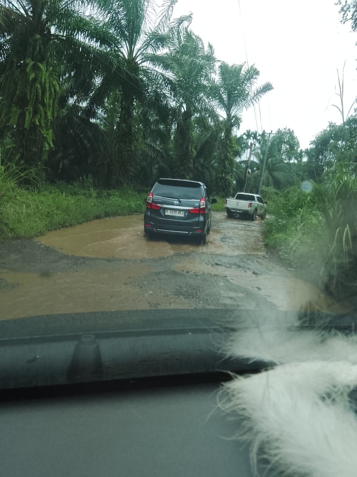 Warga Keluhkan Jalan Lintas Provinsi Bengkulu Tanjung Iman – Muara Sahung Rusak Parah