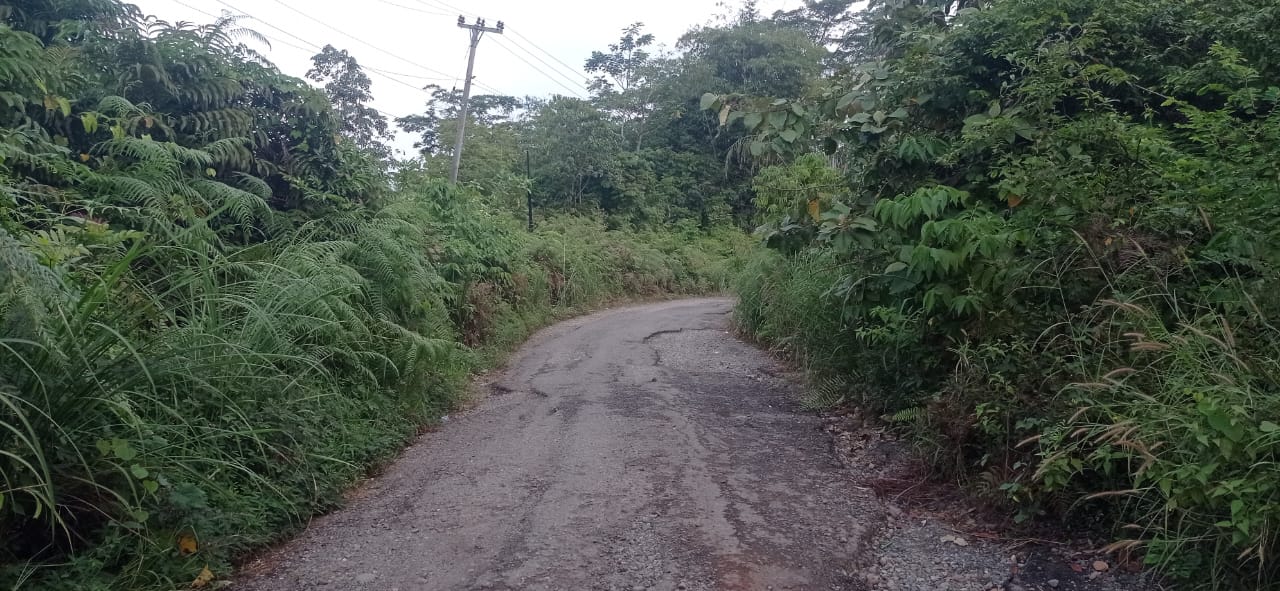 Jalan Provinsi Menuju Muara Sahung Menyempit Akibat Semak Belukar, Warga Pertanyakan Kinerja PUPR Bengkulu