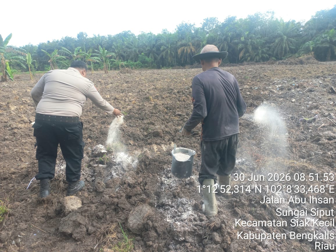 Polsek Siak Kecil Lakukan Pemupukan Dolomit di Lahan Ketahanan Pangan Polres Bengkalis, Siapkan 4 Hektare untuk Budidaya Jagung Pipil*