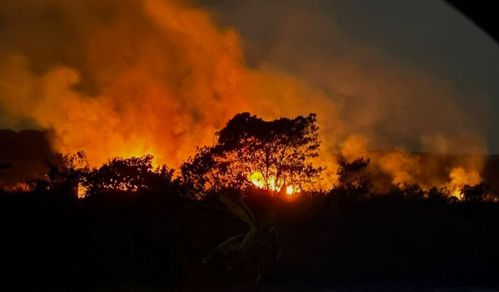 TETAPKAN SIKAP KERAS! Kejagung dan Polri Gelar Rakor Terbatas: Penjahat Ekologis dan Korporasi Pembakar Hutan Siap Dilibas Tanpa Ampun